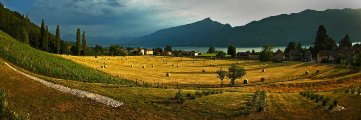 France Savoie dent du chat