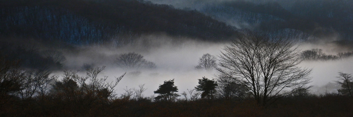 Haruna fog trees mountains