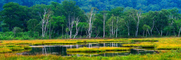 Japan Oze marshlands marshes